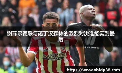 NG娱乐平台