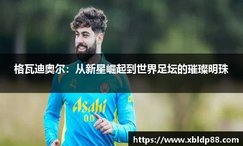 格瓦迪奥尔：从新星崛起到世界足坛的璀璨明珠