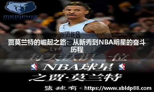 NG娱乐游戏官网