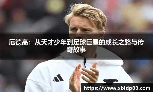 NG娱乐
